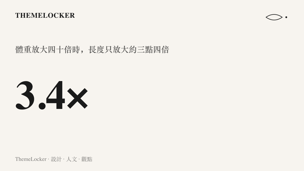 統計圖卡呈現雞隻體重放大四十倍時，長度僅放大約三點四倍的立方根換算結果