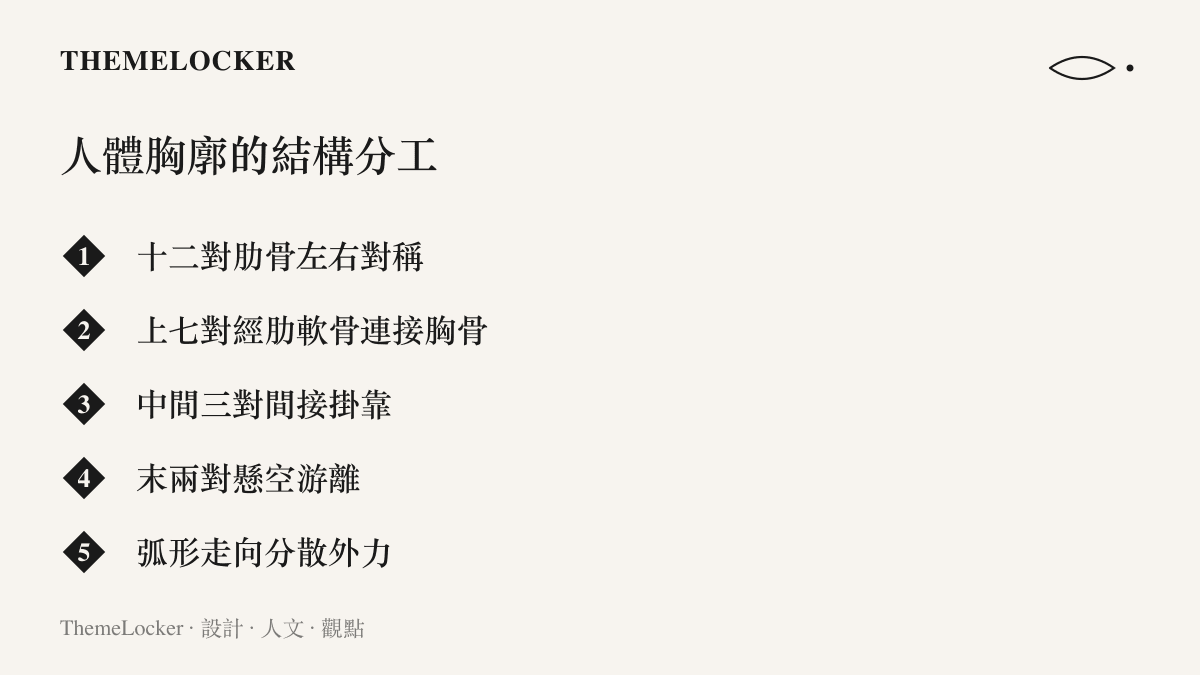 清單圖卡列出人體十二對肋骨的分類結構，以及弧形走向分散外力的設計原理