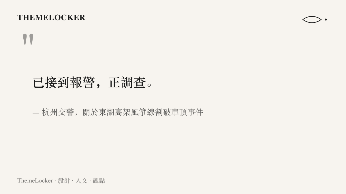 引述杭州交警對東湖高架風箏線割破車頂事件的回應，表示已接獲報案並正在調查事故
