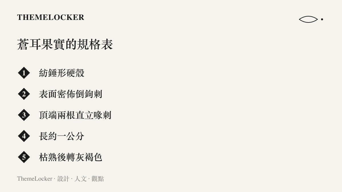 圖卡列出蒼耳果實的形態規格：紡錘形硬殼、密佈倒鉤刺、頂端兩根喙刺、長約一公分、枯熟後轉為灰褐色